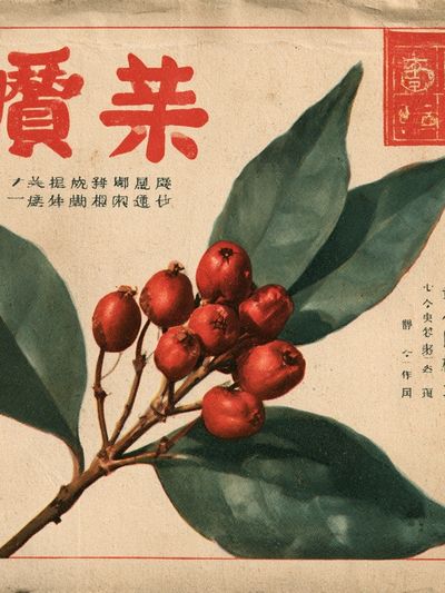 Vintage Botanical Berry Print.