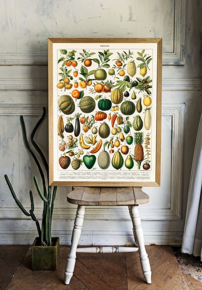 vintage illustration wide variety fruits. room preview