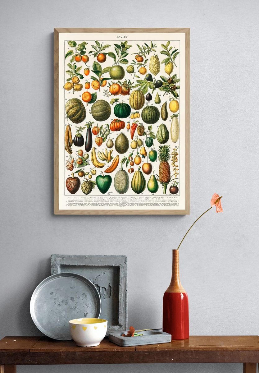 vintage illustration wide variety fruits. — room view 3