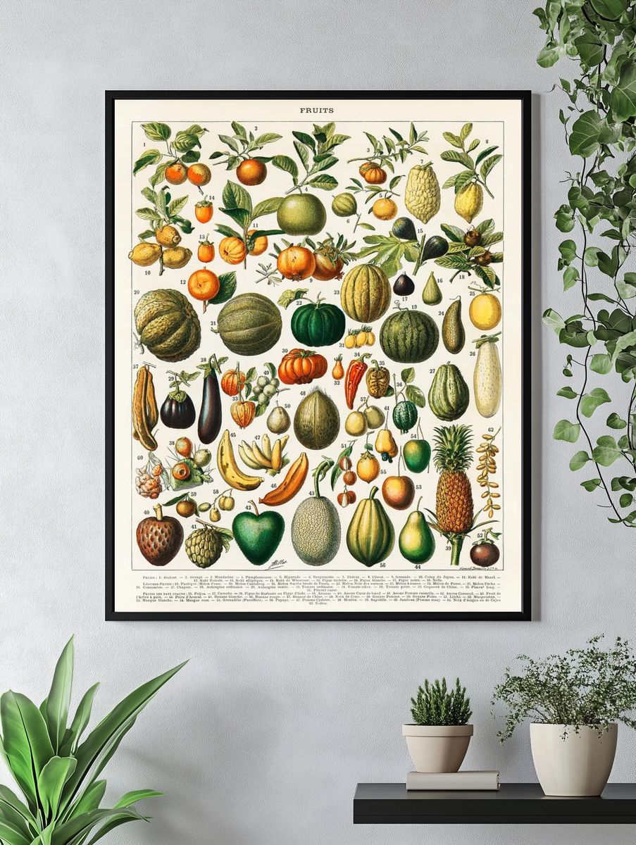vintage illustration wide variety fruits. — room view 4