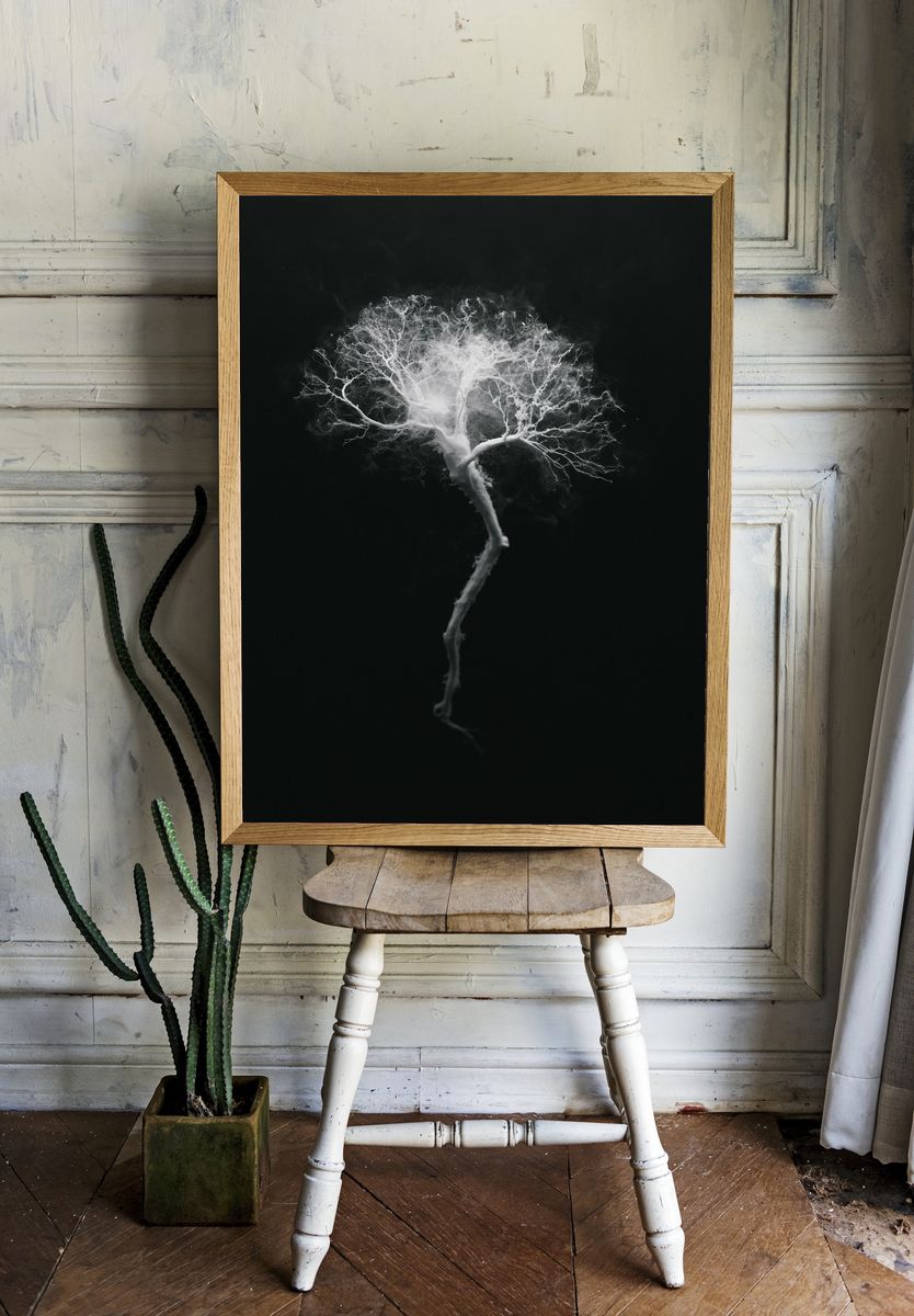Ghost Tree Black-White Print. room preview