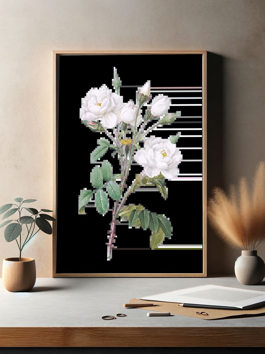 Matilija Poppy (Romneya coulteri) (1931). — room view 2