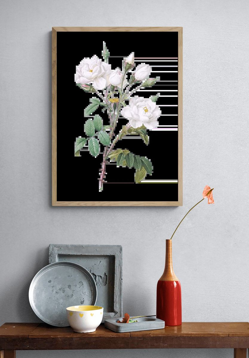 Matilija Poppy (Romneya coulteri) (1931). — room view 3