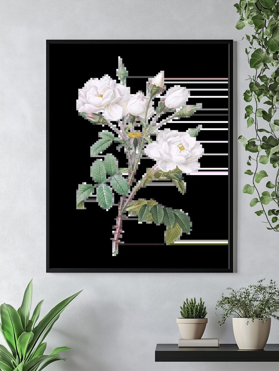 Matilija Poppy (Romneya coulteri) (1931). — room view 4