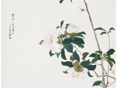 Insects and Flowers (Qing dynasty ca. 1644–1911). poster print