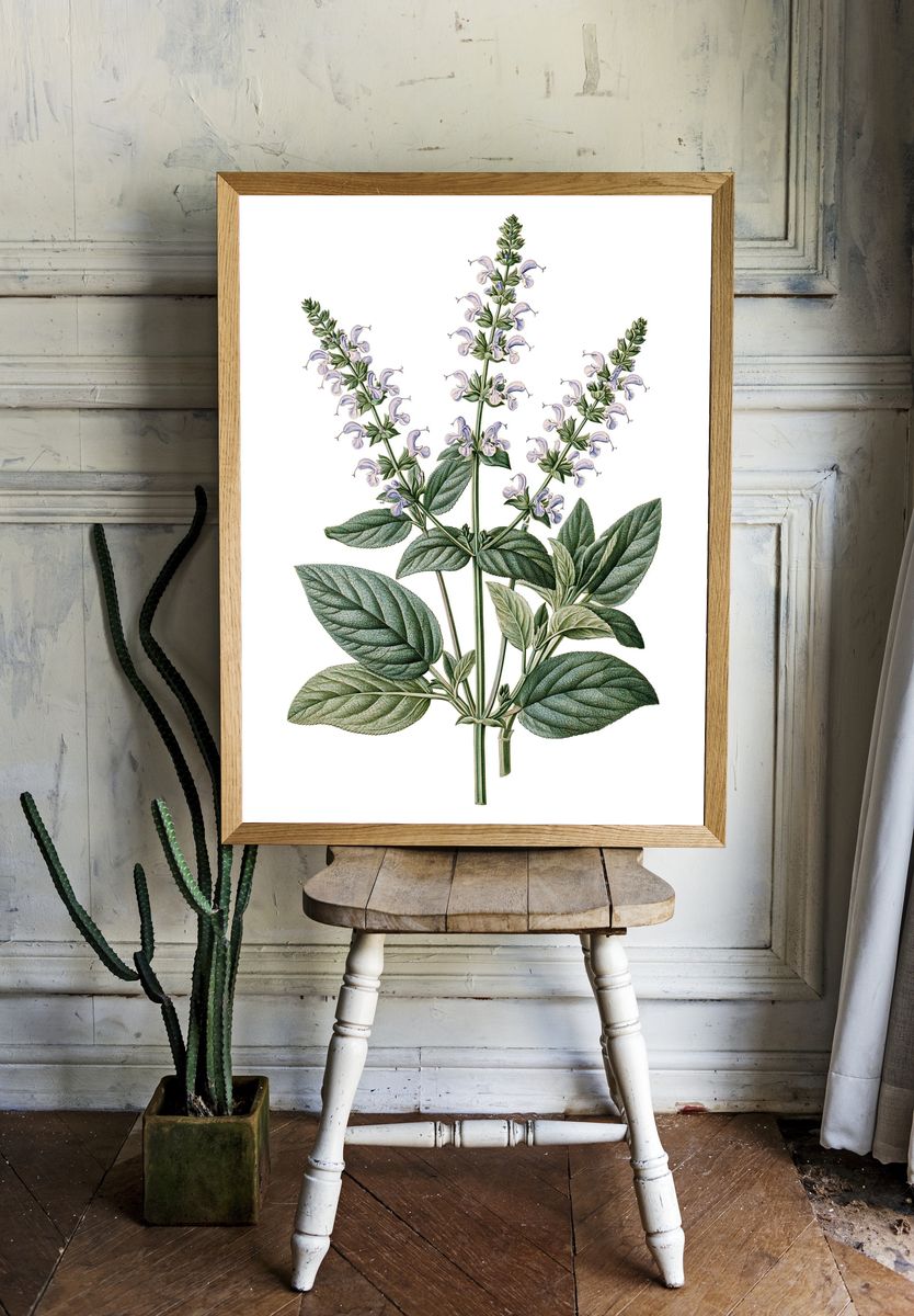 Botanical Sage Blossom Print. — room view 1