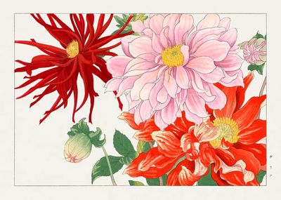 Dahlia flower woodblock painting. Digitally. poster