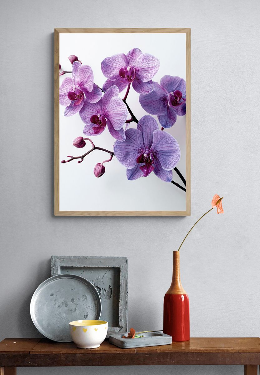 Purple Orchid Bloom Photography Poster. — room view 3