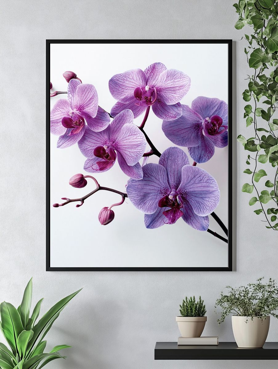 Purple Orchid Bloom Photography Poster. — room view 4