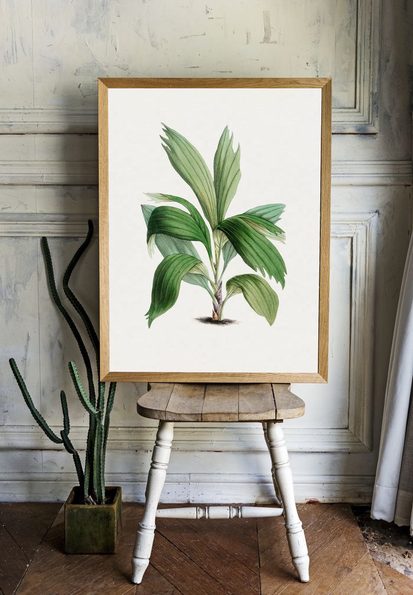 Hand drawn areca palm. Original. — room view 1