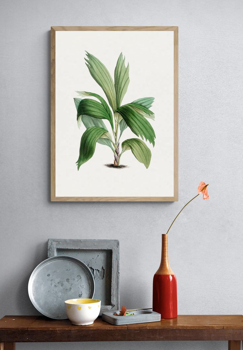 Hand drawn areca palm. Original. — room view 3