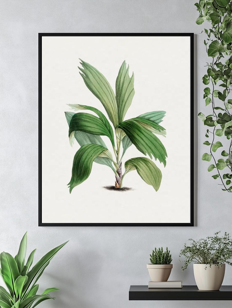 Hand drawn areca palm. Original. — room view 4