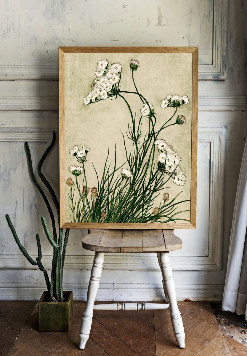 Wildflower Botanical Print. room preview