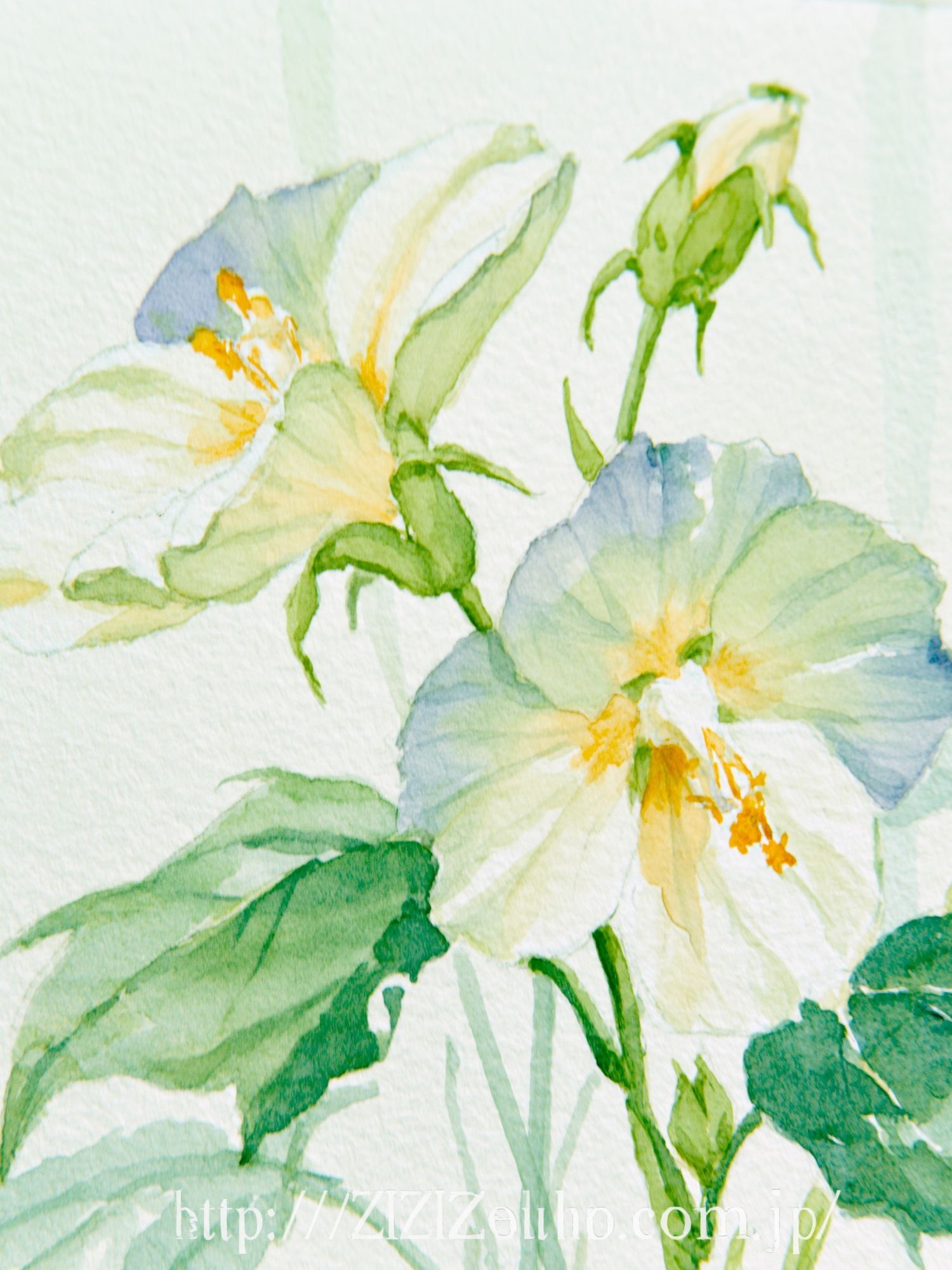 White Lily Watercolor Print. poster — botanical art