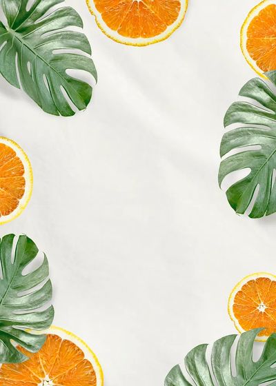Green Monstera leaves orange background.
