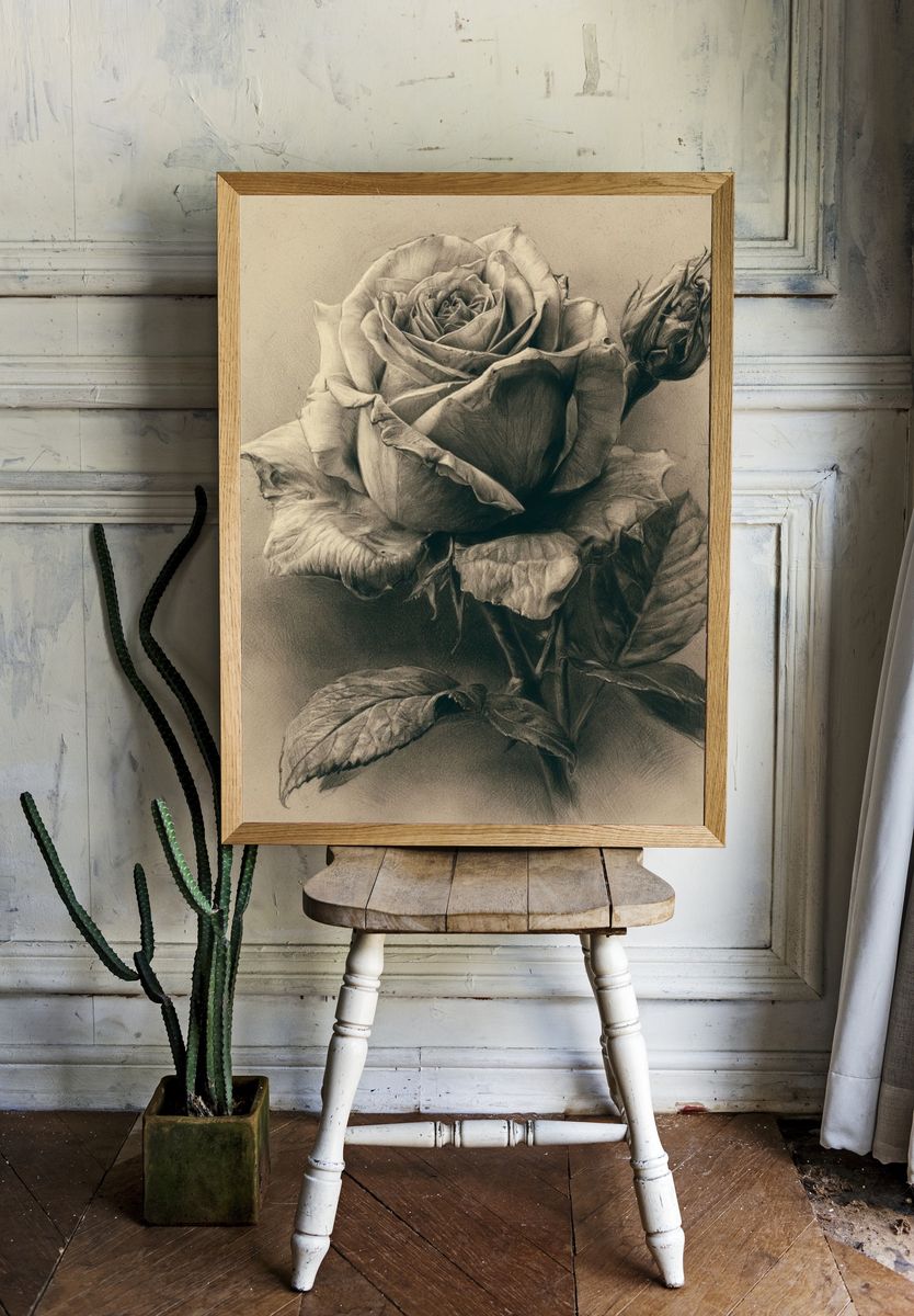 Sepia Rose Botanical Print. — room view 1