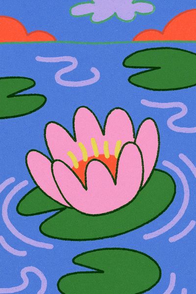 Lily Pad Pond Illustration Poster.