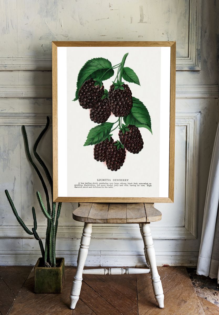 Lucretia Dewberry lithograph. room preview