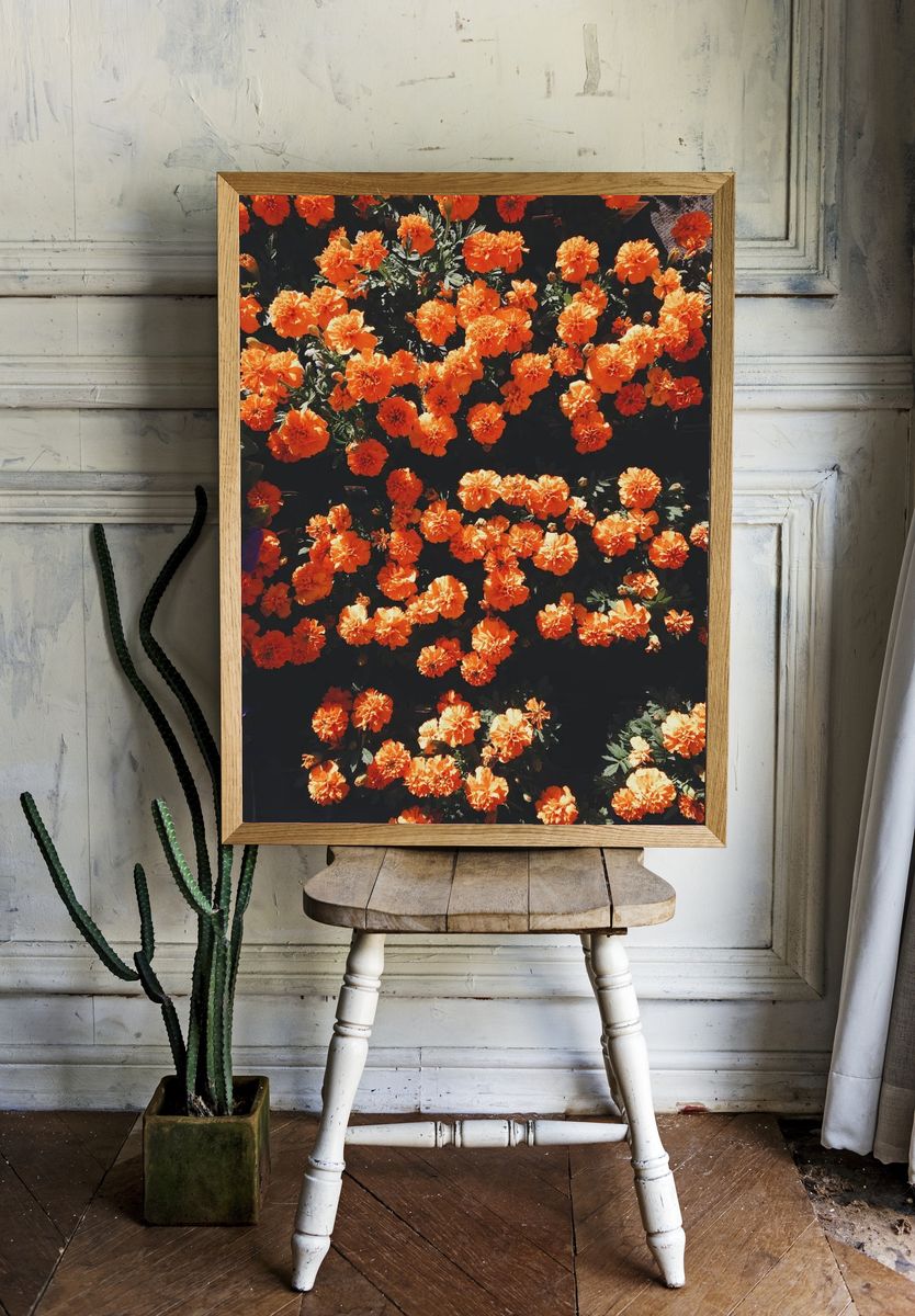 Blooming orange flowers. room preview