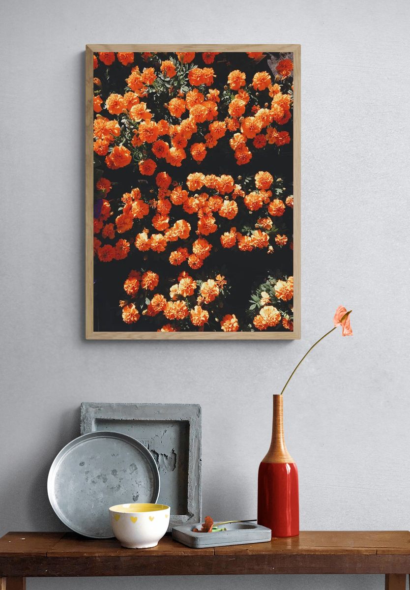 Blooming orange flowers. — room view 3