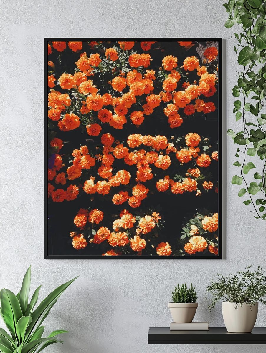 Blooming orange flowers. — room view 4
