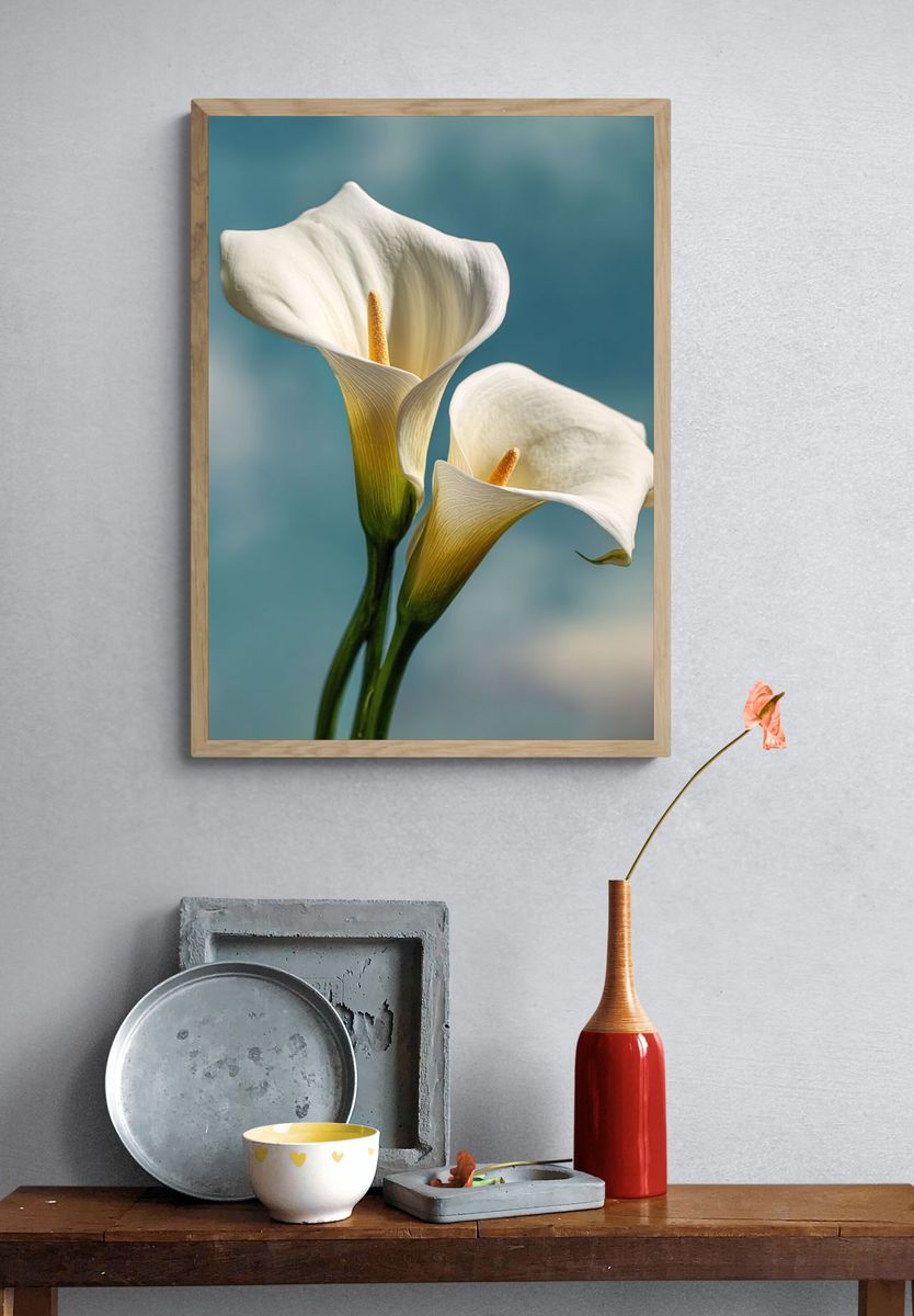 White Calla Lilies Botanical Print. — room view 3