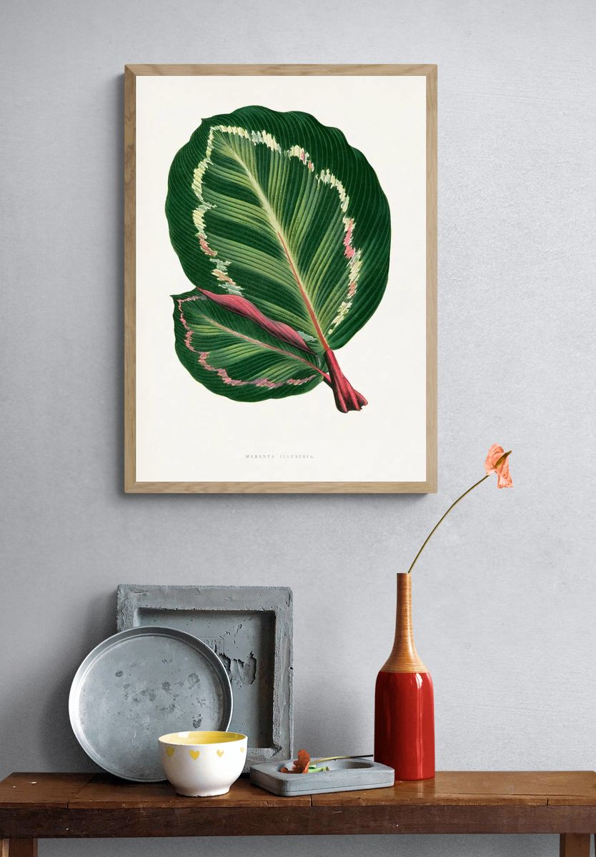Green Mantara Illustris leaf illustration. — room view 3