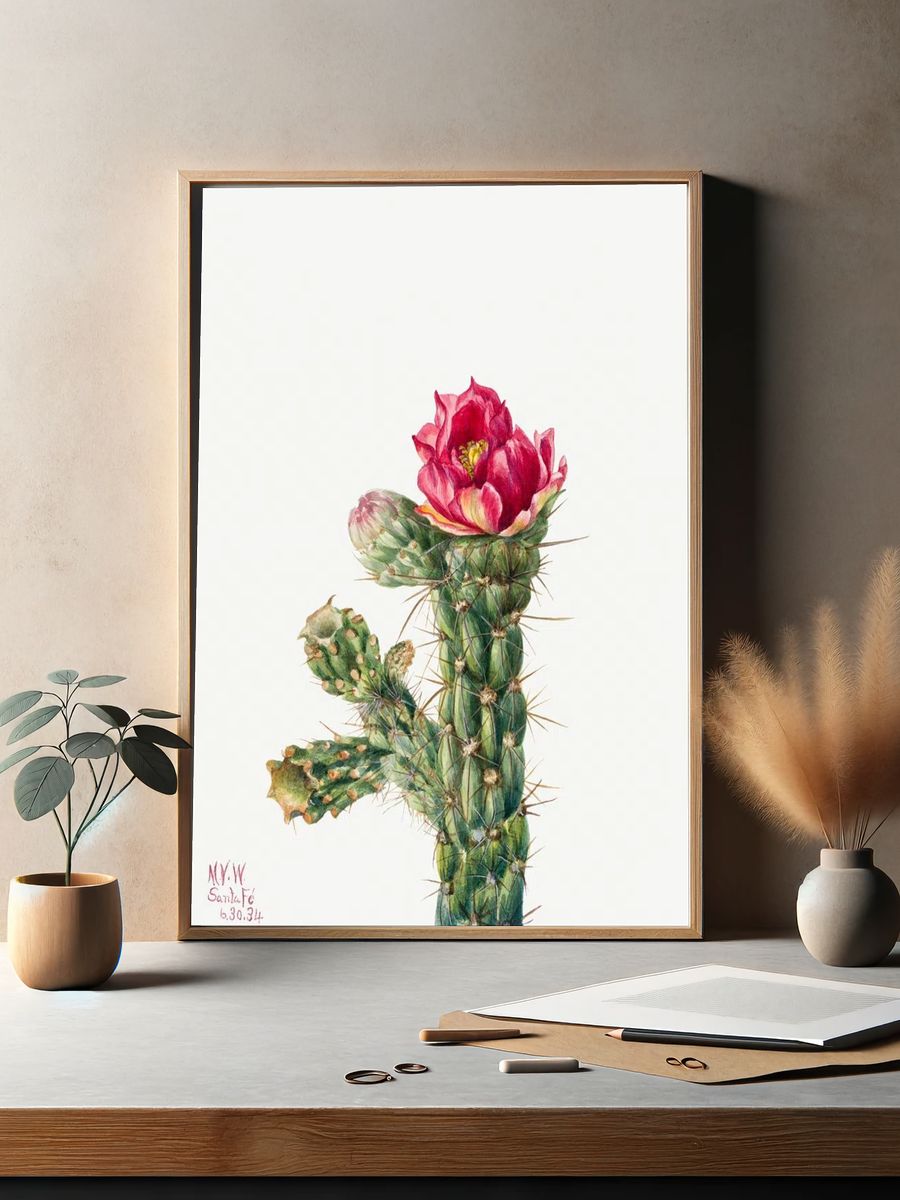 Walkingstick Cholla (Opuntia imbricata) (1934). — room view 2
