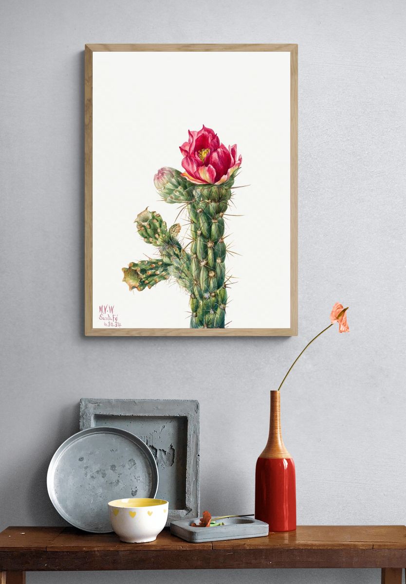 Walkingstick Cholla (Opuntia imbricata) (1934). — room view 3