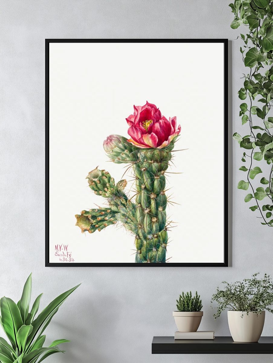 Walkingstick Cholla (Opuntia imbricata) (1934). — room view 4