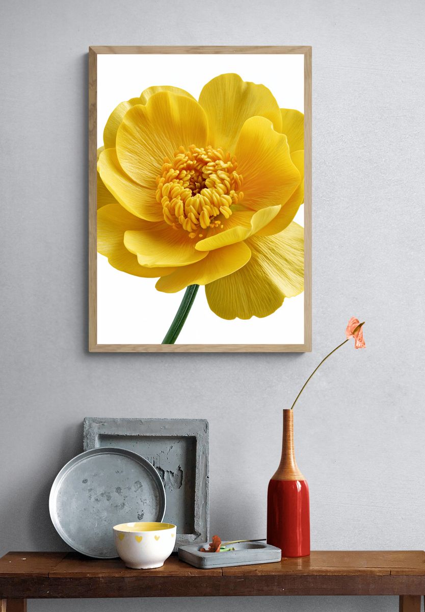 Yellow Buttercup Botanical Print. — room view 3