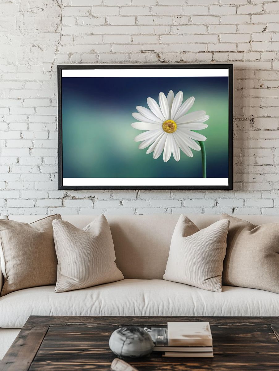 Daisy flower. room preview