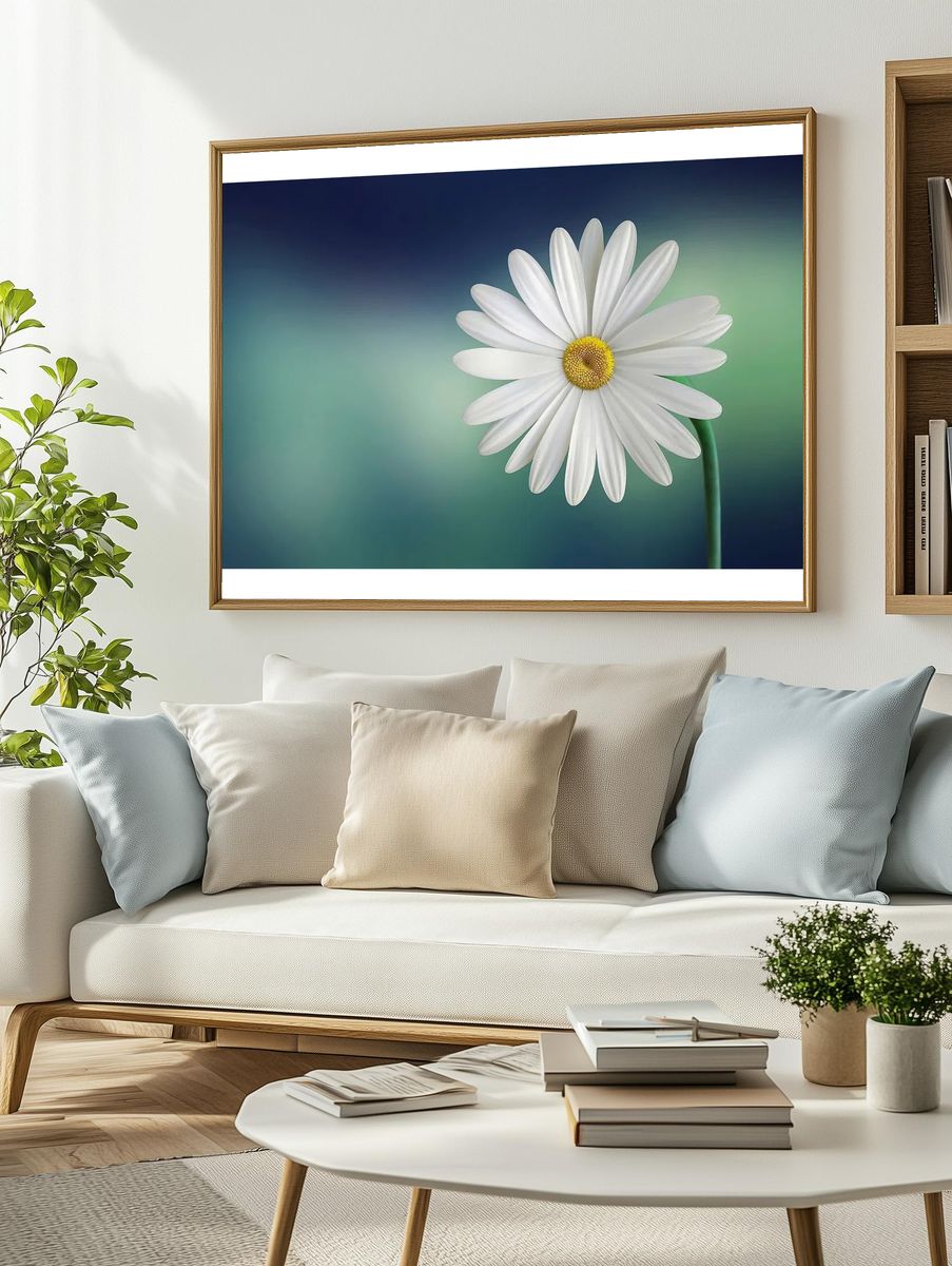 Daisy flower. — room view 2