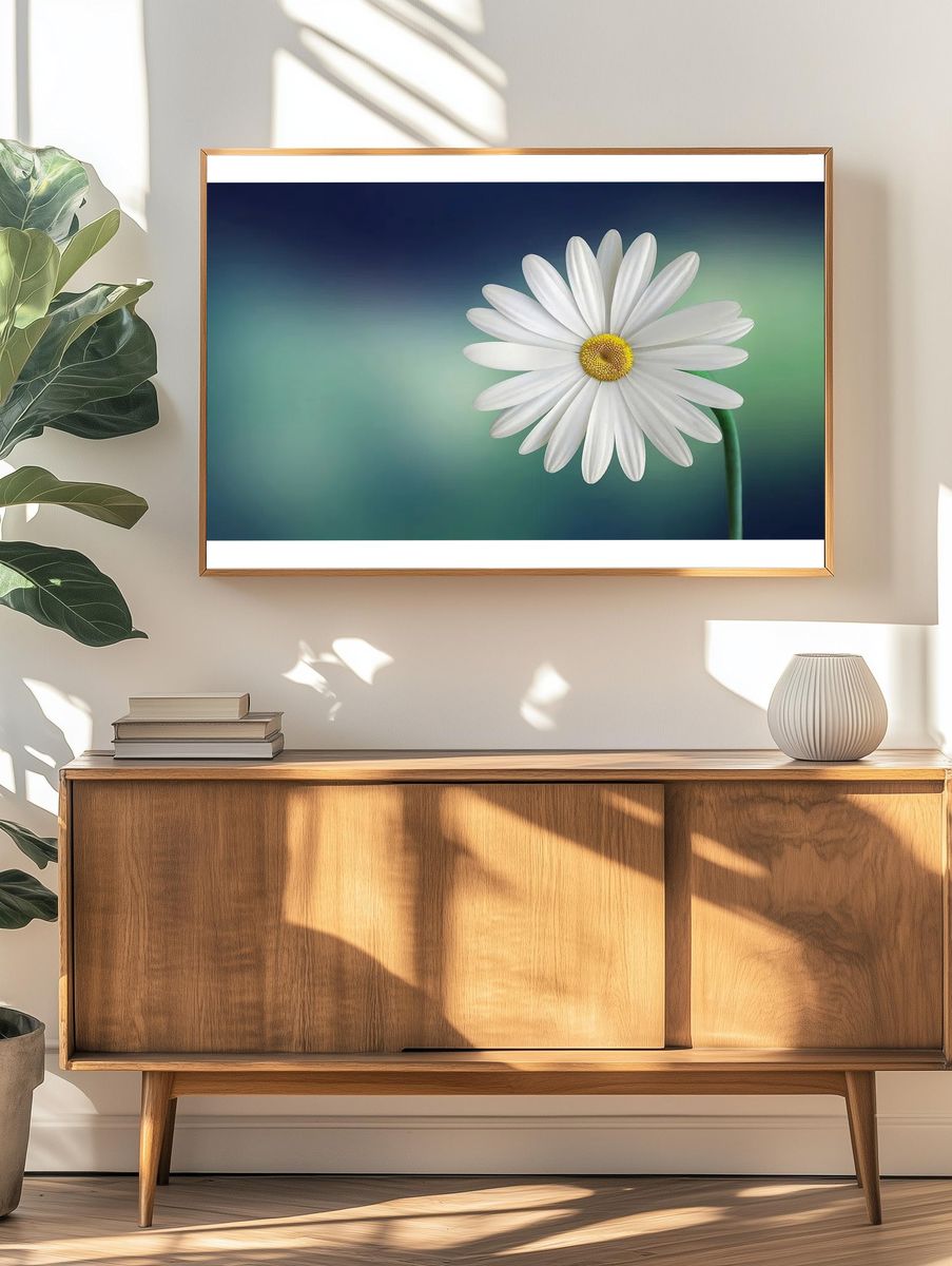 Daisy flower. — room view 3