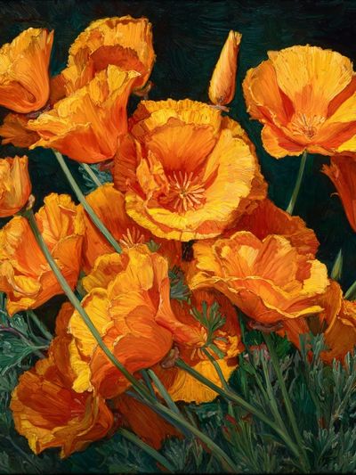 Orange Poppy Blooms Fine-Art Poster.