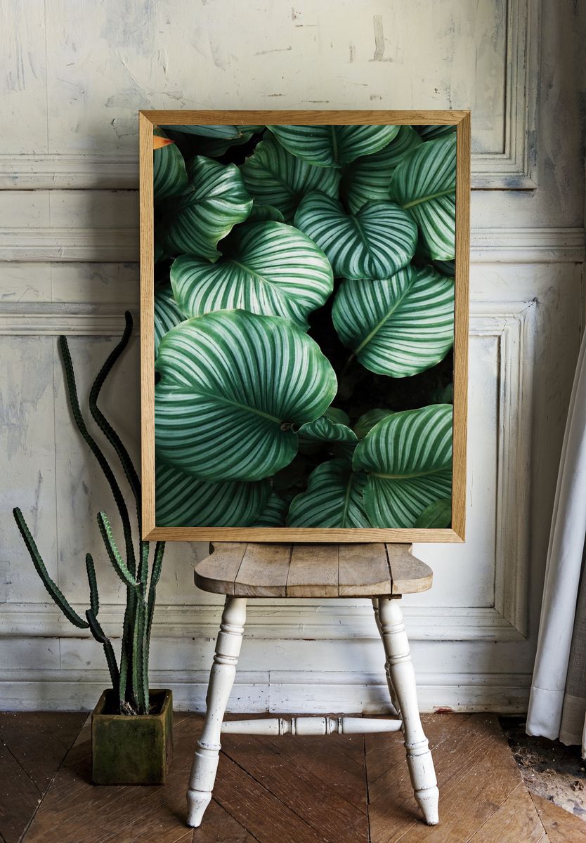 Green tropical leaves background. Original. — room view 1
