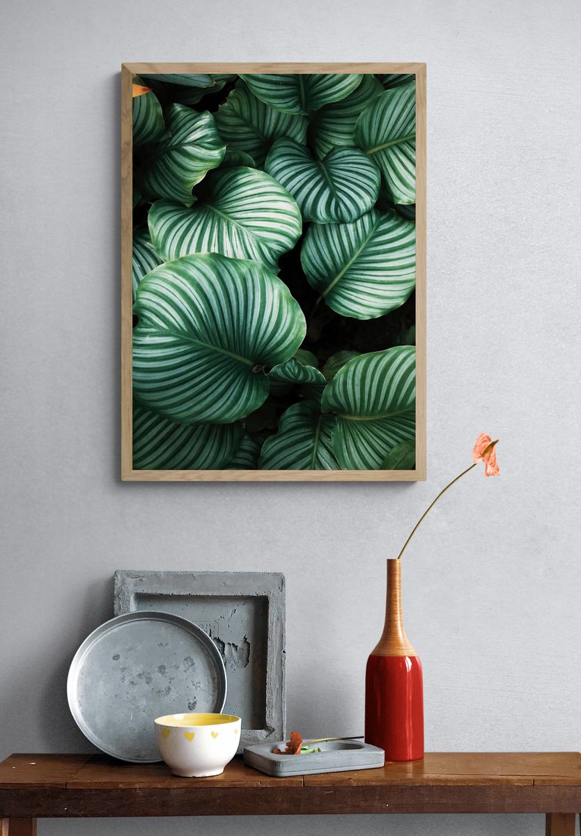 Green tropical leaves background. Original. — room view 3