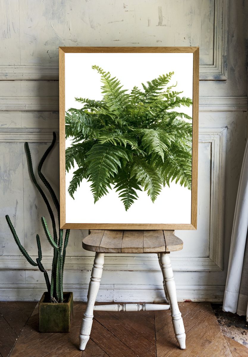 Lush Fern Botanical Print. room preview