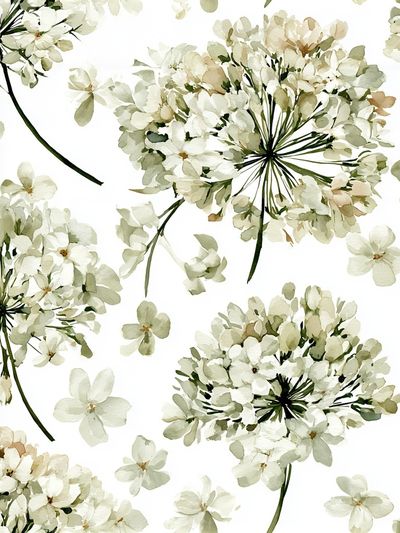 White Blossom Watercolor Print. poster