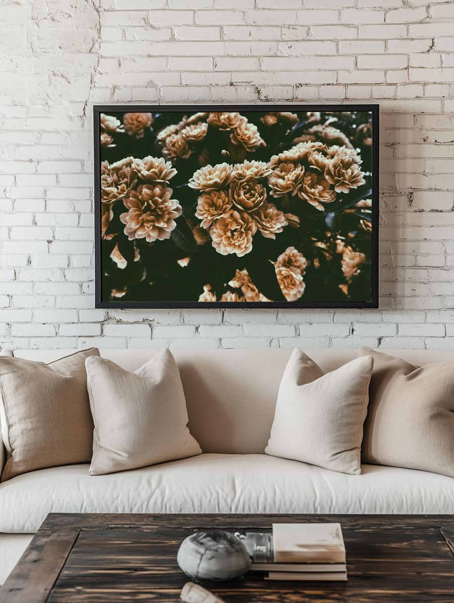 desaturated shot large rose-like flowers. room preview