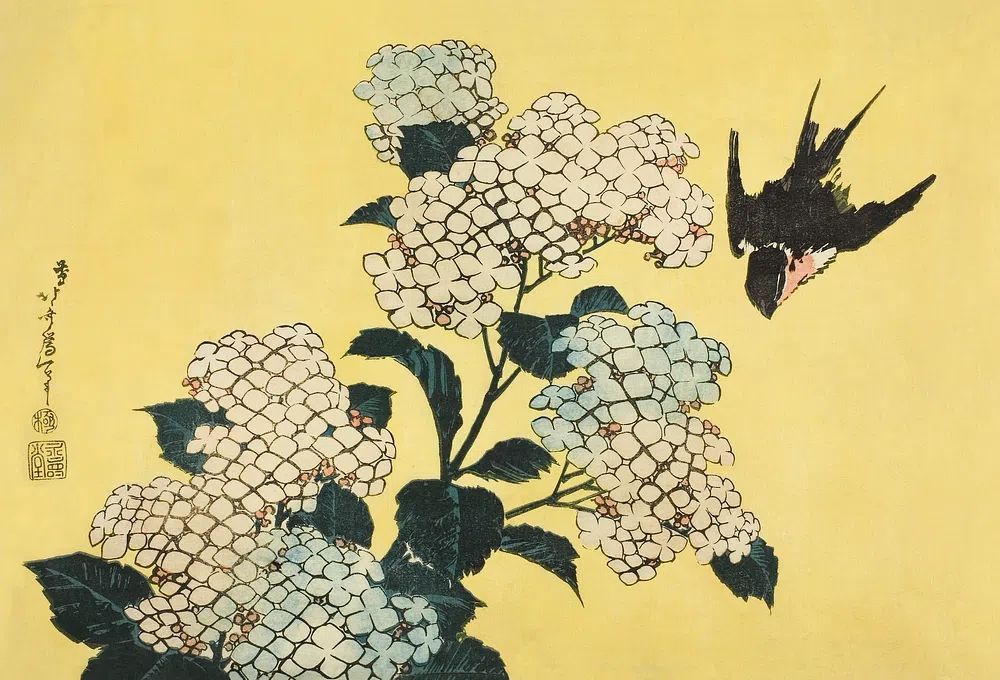 Hydrangea Swallow, untitled series large. poster detail