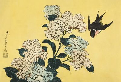 Hydrangea Swallow, untitled series large.