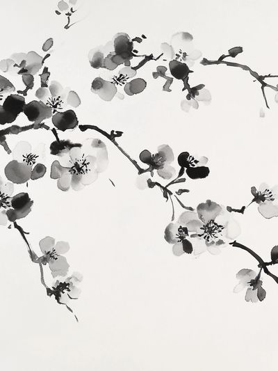 Cherry Blossom Ink Poster. poster