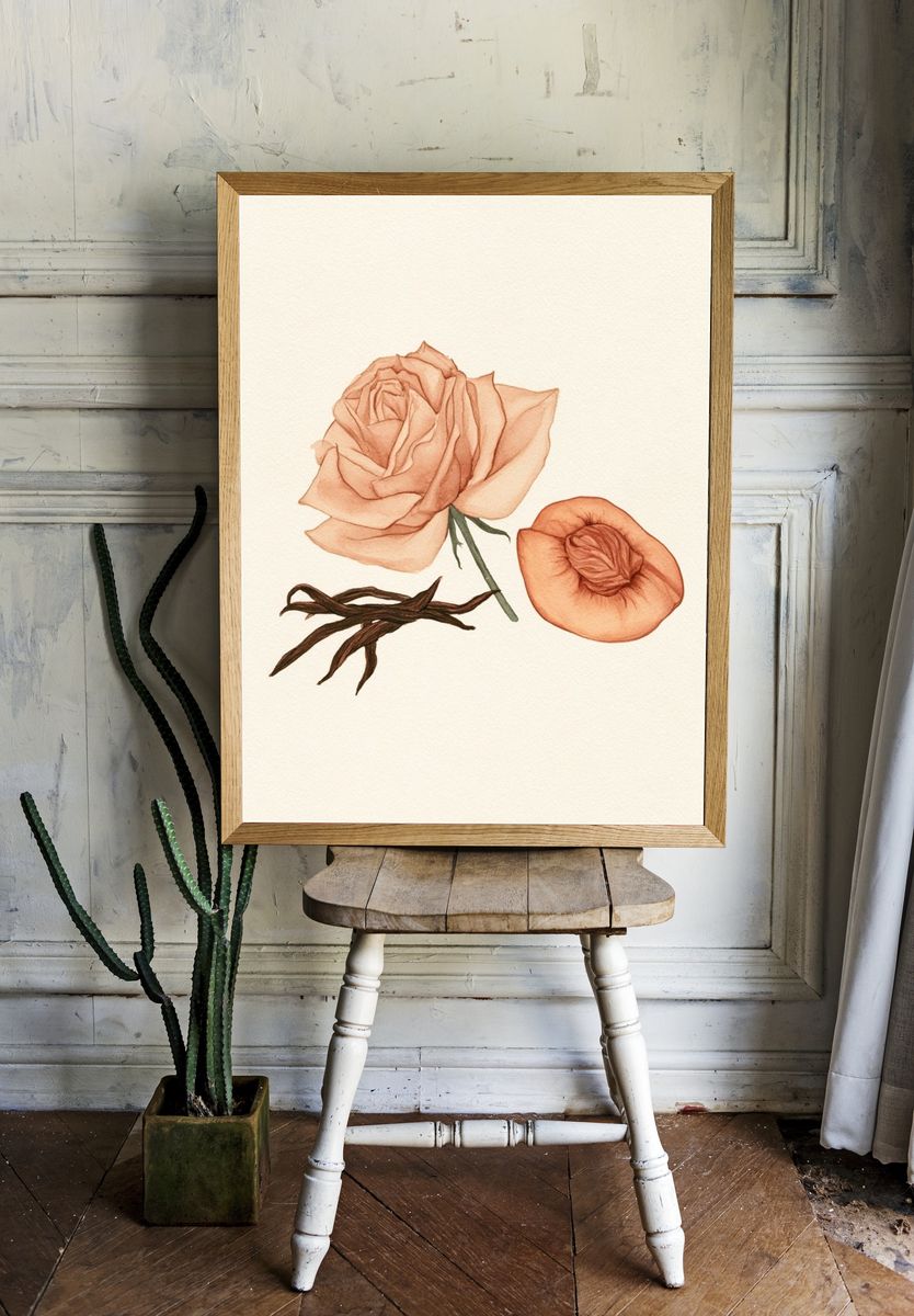 Peach Rose Botanical Print. room preview