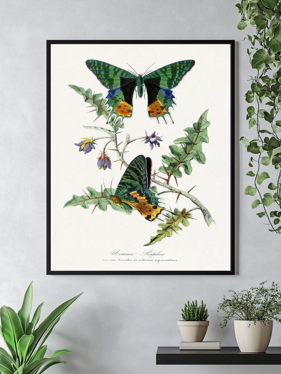 Glowing Lantern Leaves Illustration Poster. — room view 4