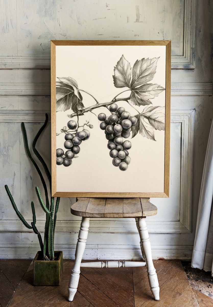 Grapevine Botanical Sketch Poster. — room view 1