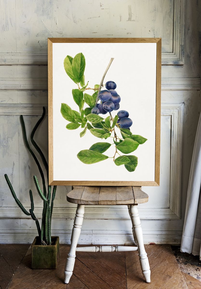 Vintage branch plums illustration. Digitally. room preview