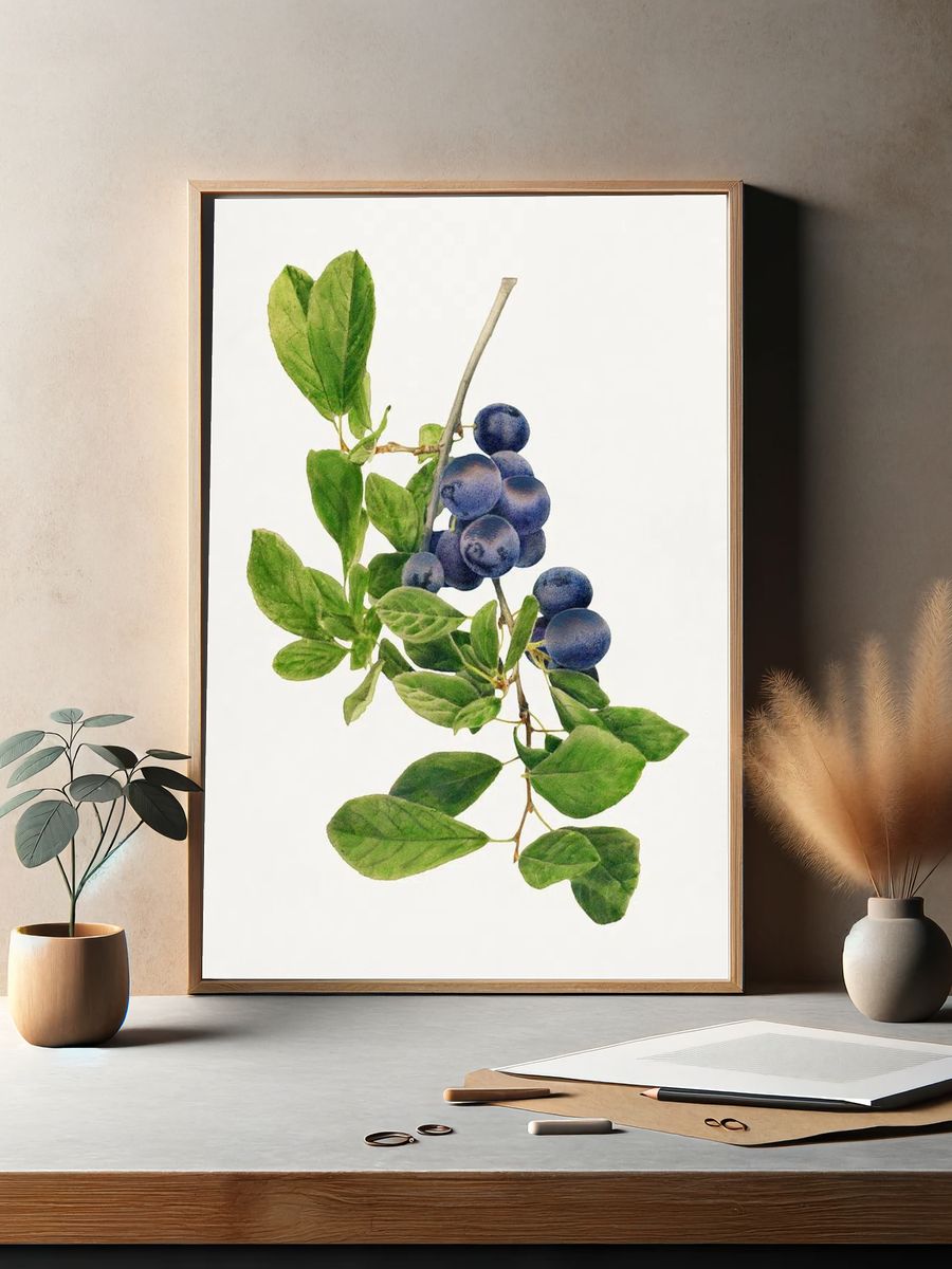 Vintage branch plums illustration. Digitally. — room view 2