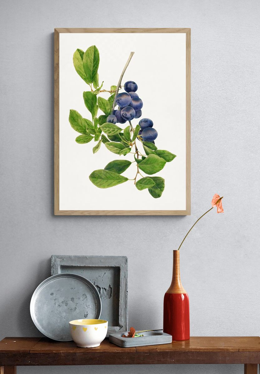 Vintage branch plums illustration. Digitally. — room view 3