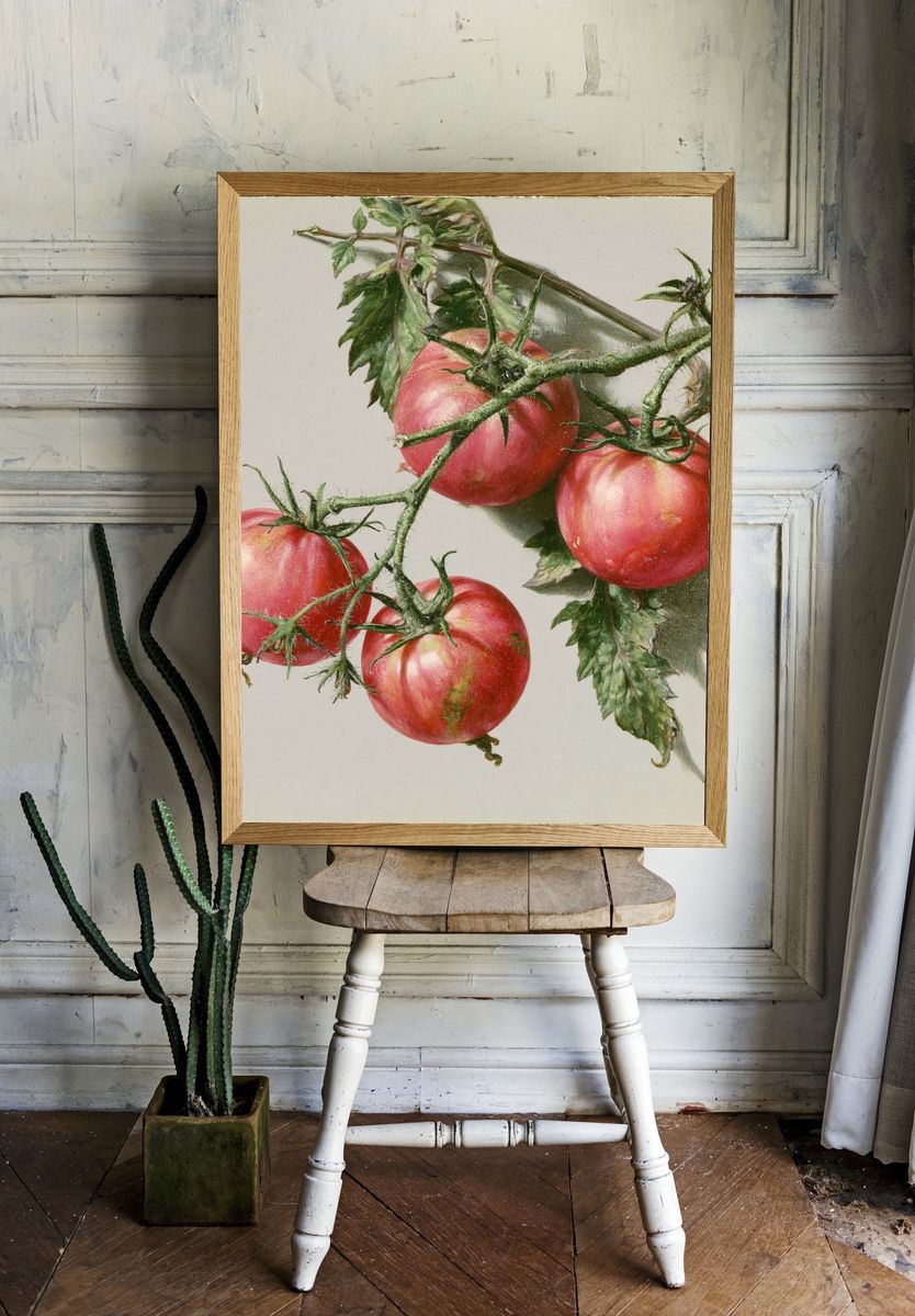 Tomatoes Still Life Print. room preview